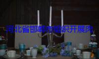 河北省邯郸市组织开展肉制品专项整治行动